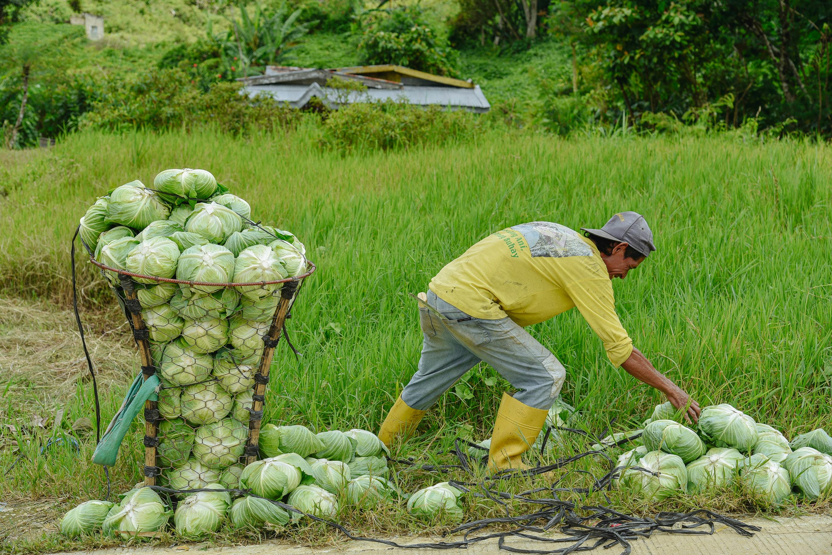 Imagen representativa del campo
